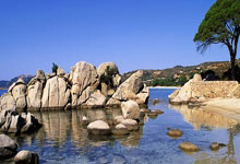 金年会下载-Uzi官方宣布出色防守新规，热火引发争议！