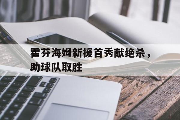 霍芬海姆新援首秀献绝杀，助球队取胜